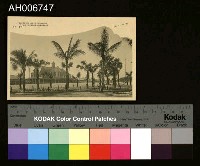 藏品(日治台中停車場明信片)的圖片